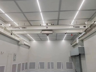 Clean Room Overhead Crane for Optics Institute